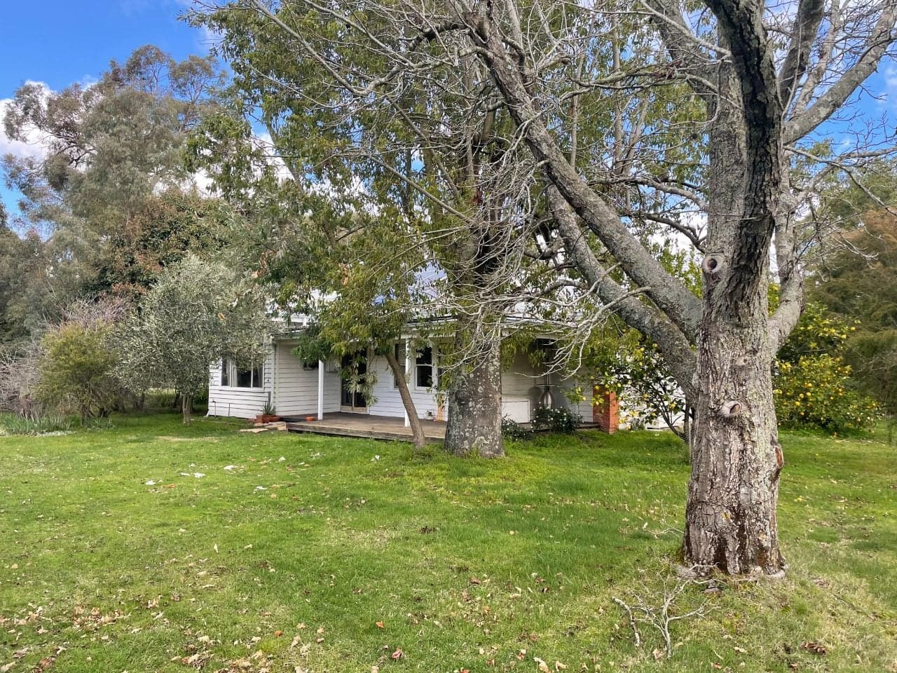 The weatherboard farmhouse from the paddock, with its verandah and the old deck
