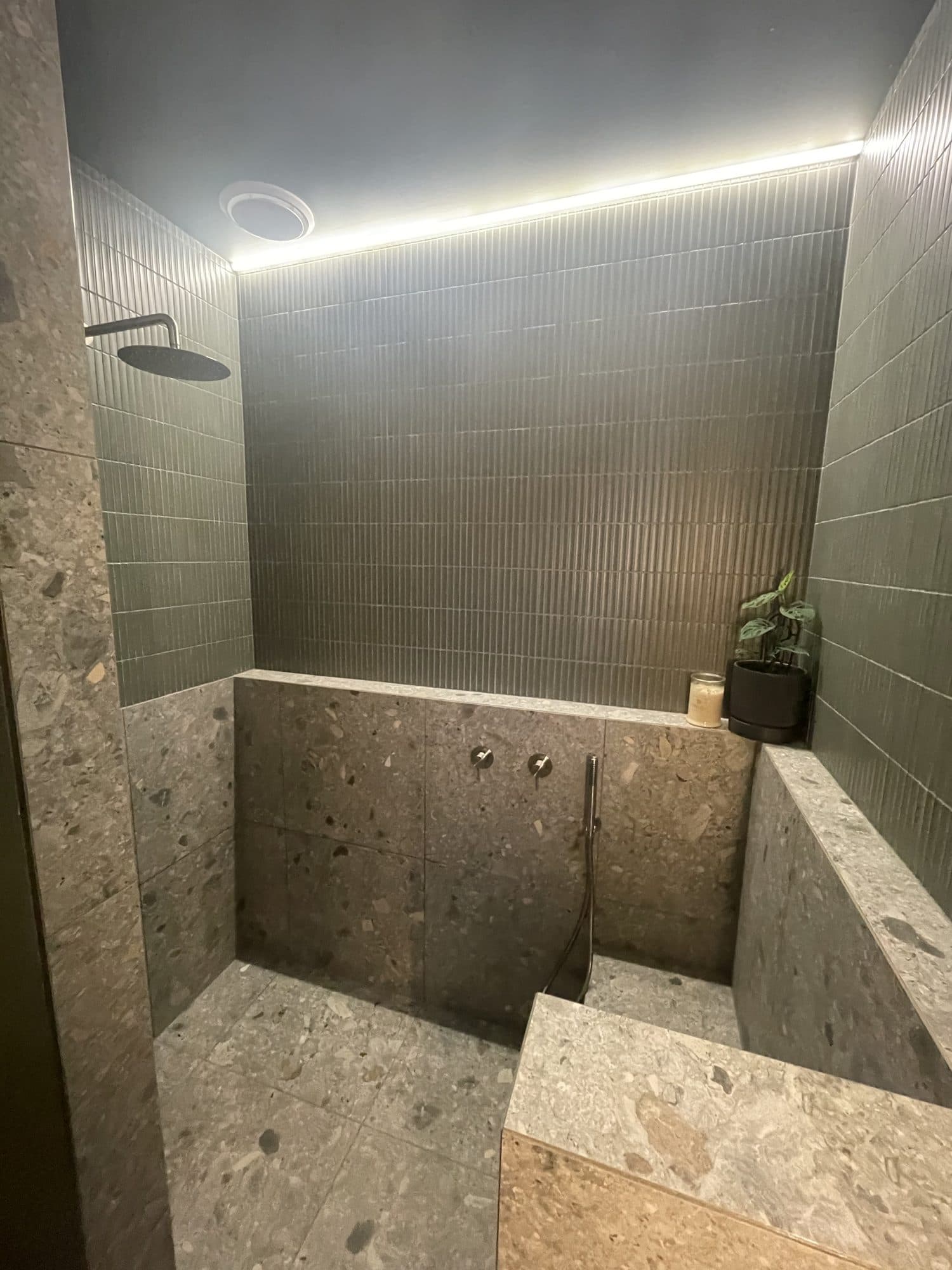 The shower with LED strip lighting along the ceiling edge